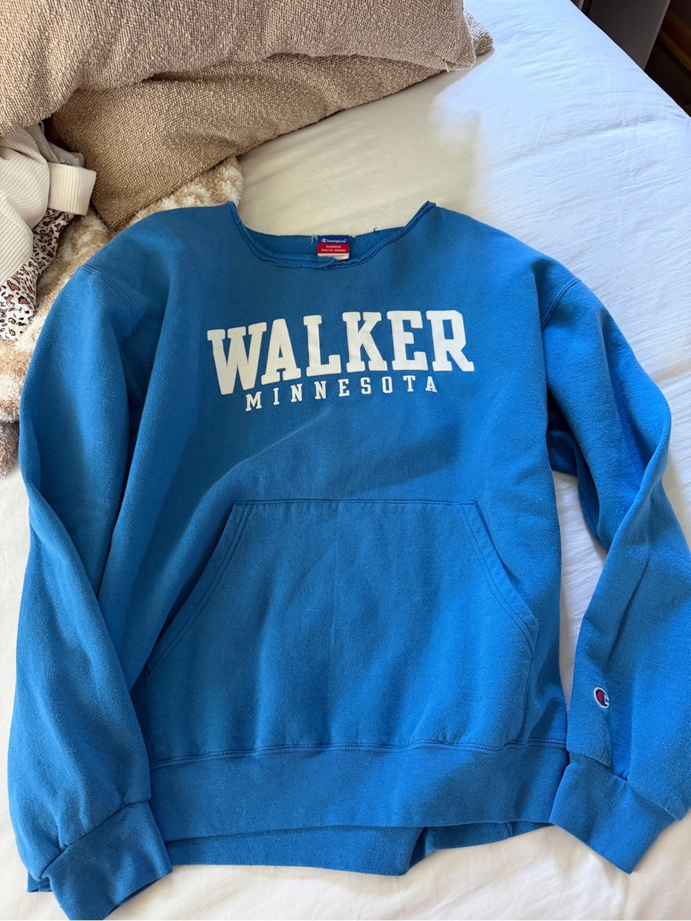 Champion Blue Walker Minnesota Crewneck Sweatshirt